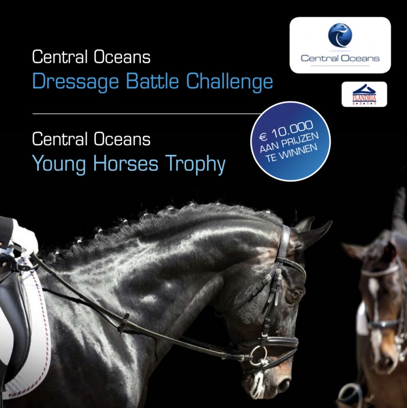 The Central Oceans Dressage Battles