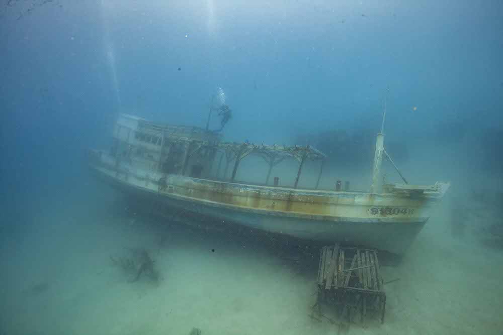 Underwater Views!